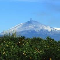 etna_aranceto